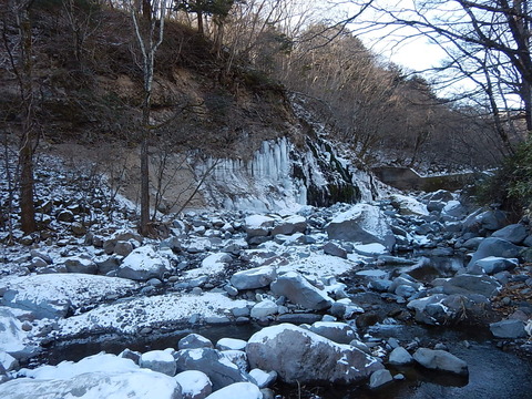 DSCN2581