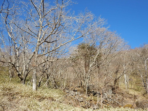 DSCN2580