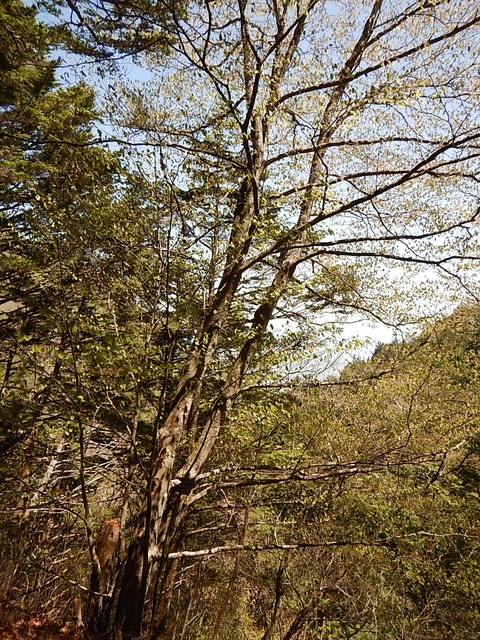 DSCN3772