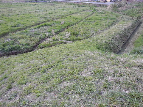 DSCN3699