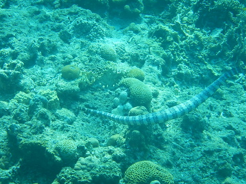 DSCN0059