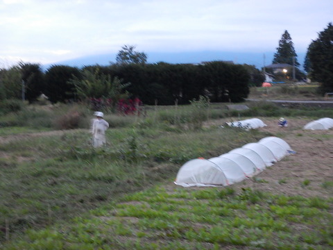 DSCN8352