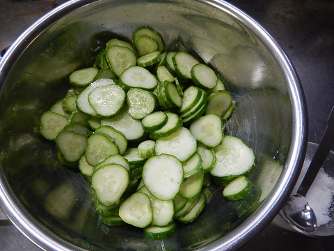 DSCN8313