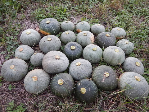 DSCN8612