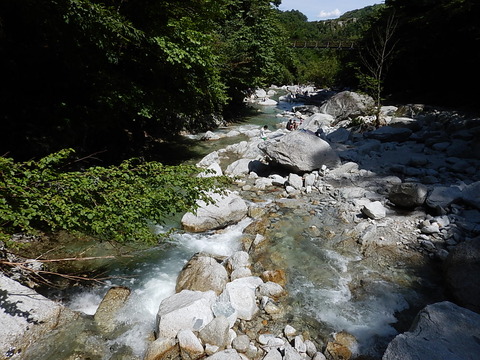 DSCN6788