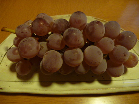 P1150594