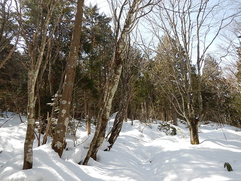 DSCN5146