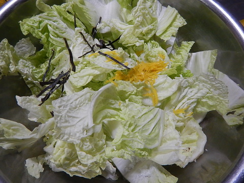 DSCN0165