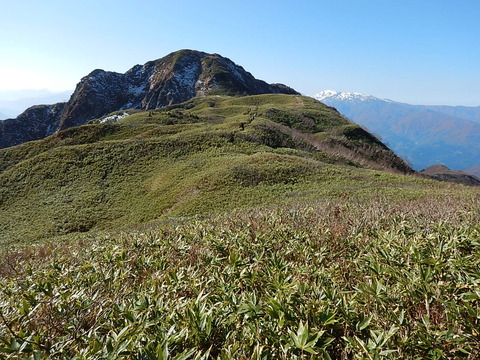 DSCN5015