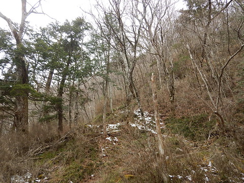 DSCN4966