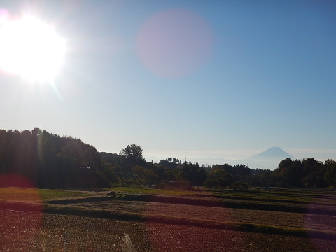 DSCN9689