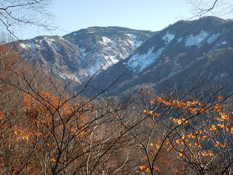 DSCN4955