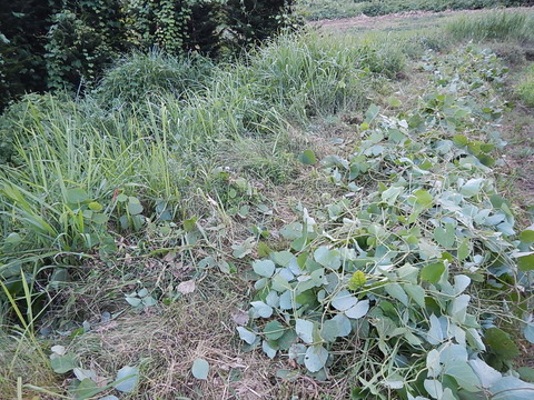 DSCN6833