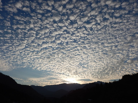 DSCN5104