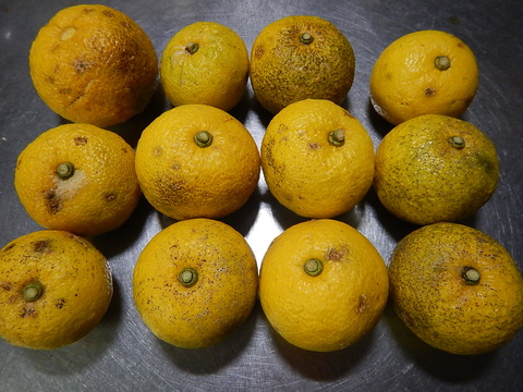 DSCN0164