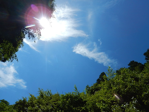 DSCN6790