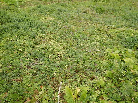 DSCN0184