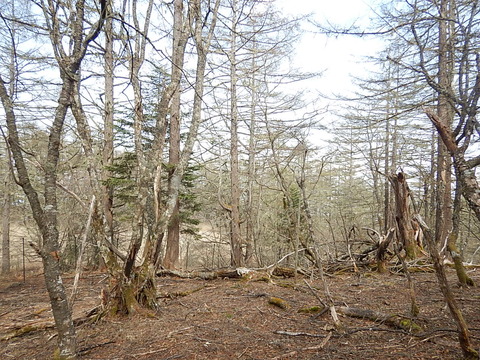 DSCN3876