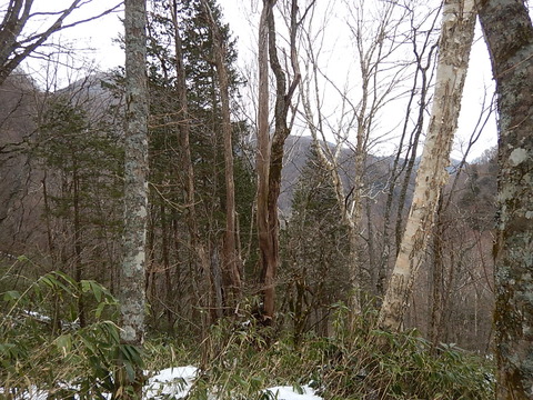 DSCN5040