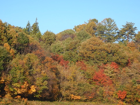 DSCN0130