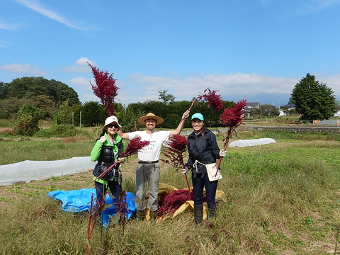 DSCN8547