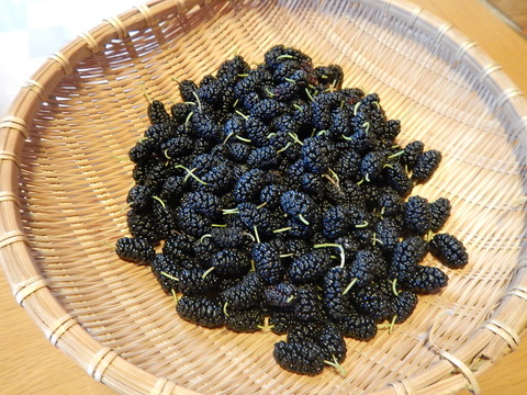 DSCN1437