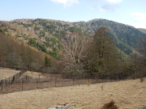 DSCN3906