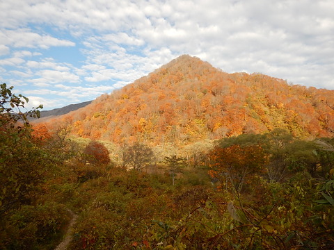 DSCN5096
