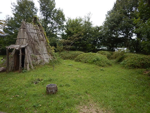DSCN8297