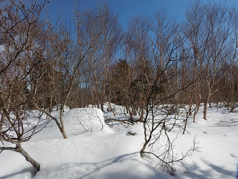 DSCN5166