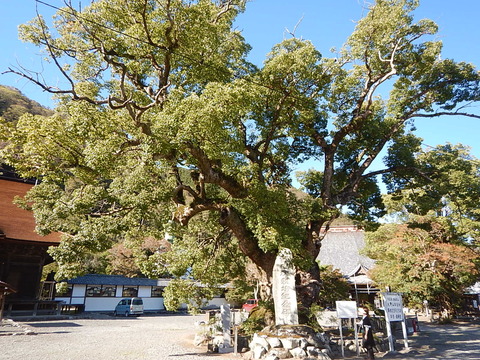 DSCN9603