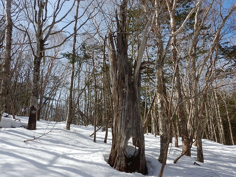 DSCN5139