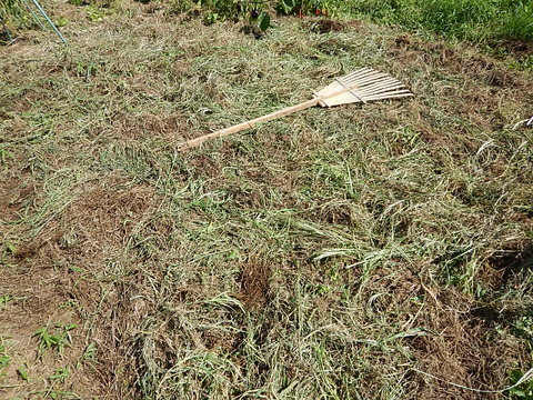 DSCN8243