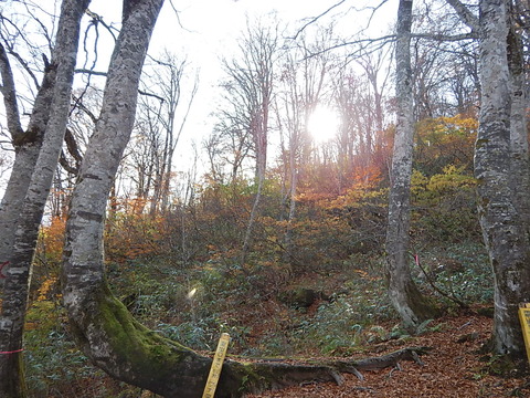 DSCN5081