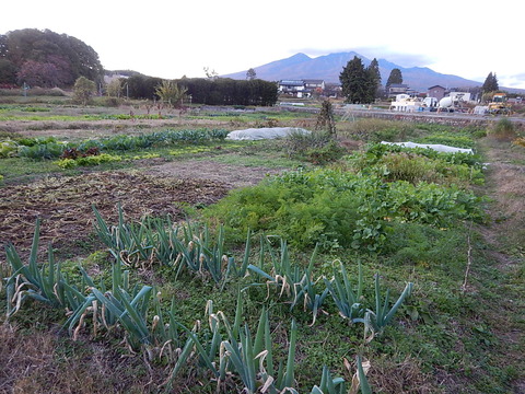DSCN9632