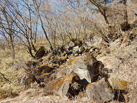DSCN2578