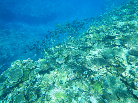 DSCN0023