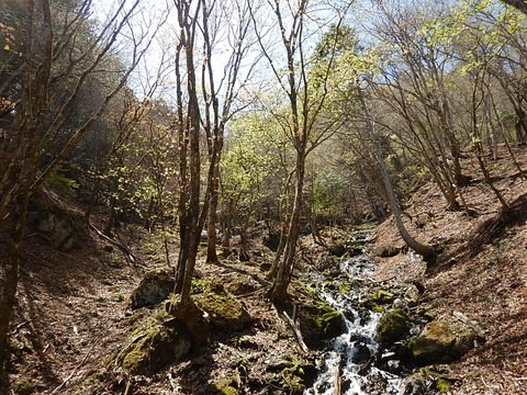 DSCN3784