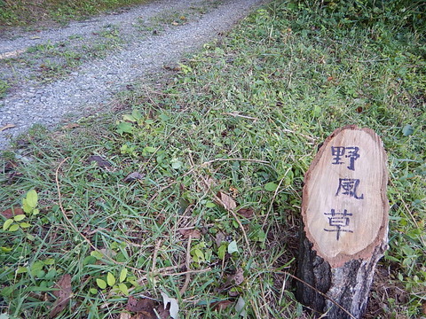 DSCN3343