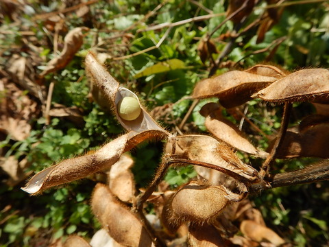DSCN9718