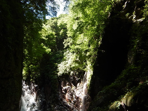 DSCN6779