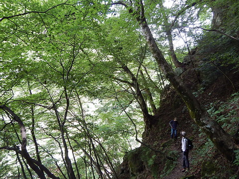 DSCN3405