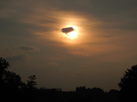 DSCN6820