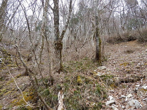 DSCN5063