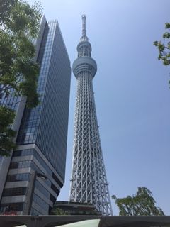 IMG_3977