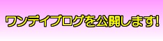 ワンデイアフィリエイト,特典,実践