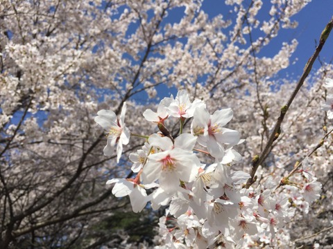 421907AB-B387-4AA1-91A7-73E30FD2EF4E