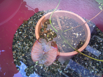 2e02f025.JPG