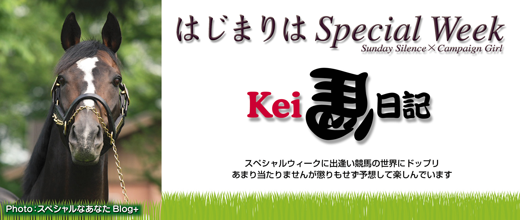 ブログのタイトル"