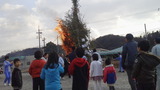 64c11265.jpg